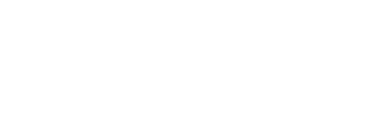 Aureus Advisors